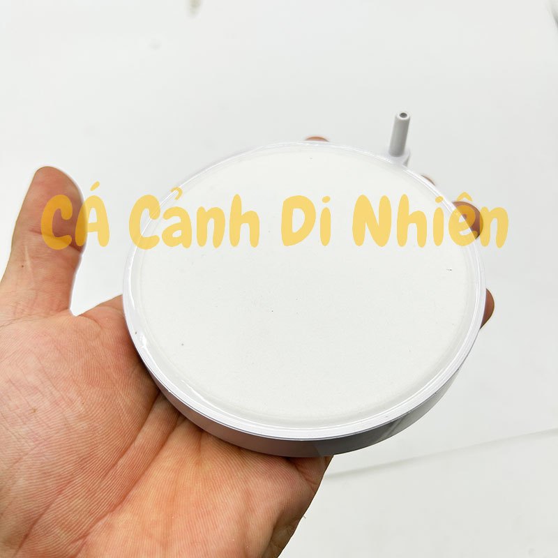 Sủi đĩa oxy siêu mịn Nano size 5cm-10cm cho hồ cá cảnh AIR STONE đá sủi mịn bể cá