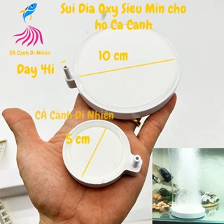Sủi đĩa oxy siêu mịn Nano size 5cm-10cm cho hồ cá cảnh AIR STONE đá sủi mịn bể cá