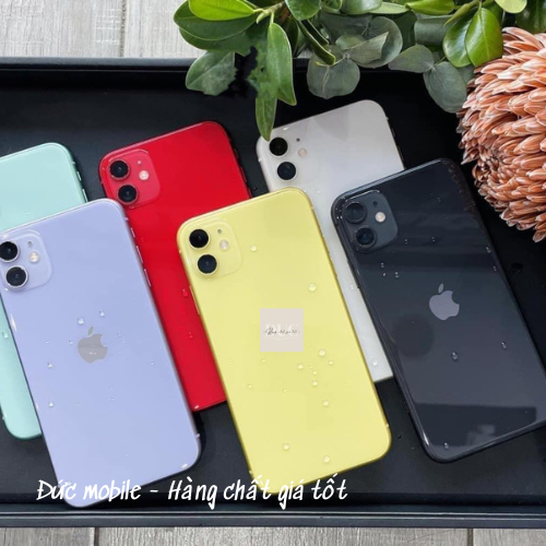 11 thường 256GB hàng quốc tế LL/A bảo hành 12 tháng
