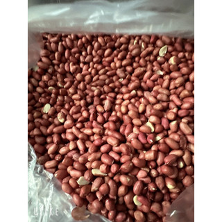 Lạc đỏ quê thơm ngon chắc củ - 1 Kg lạc thơm ngon