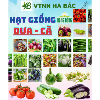  Hạt giống các Loại DƯA - CÀ RADO Trồng Quanh Năm Sinh Trưởng Tốt Chịu Nhiệt Tốt Hạt Giống Trồng Chậu Rạng Đông 