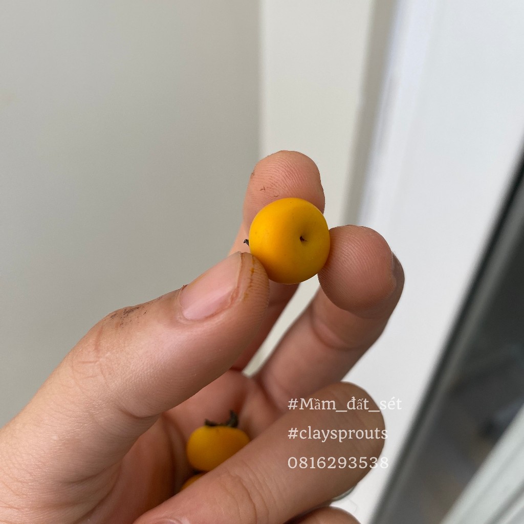 Mô hình trái hồng giòn mini cho nhà búp bê từ đất sét tỉ lệ 1/6 - Ảnh tự chụp - Mầm Đất Sét