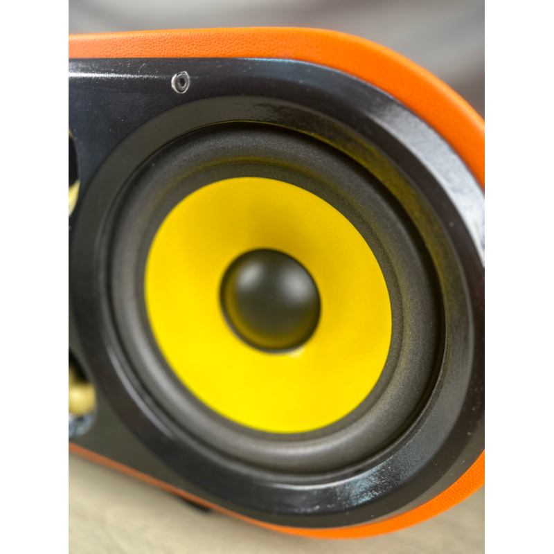 Bass loa xách tay, bass 20 từ 100 coil 35 màng cao su