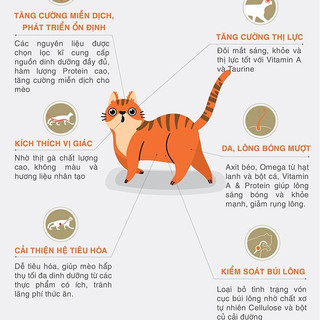 Hạt CATSEYE cho mèo mọi lứa tuổi gói 1kg5