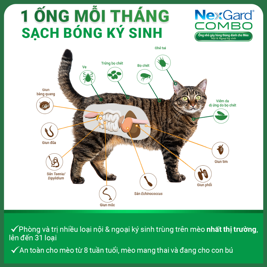 NexGard COMBO - Ống nhỏ gáy phòng & trị nội, ngoại ký sinh dành cho mèo - 1 hộp 3 ống