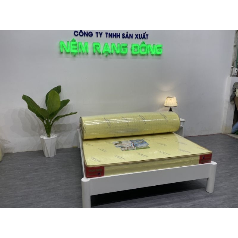 Nệm cao su non American