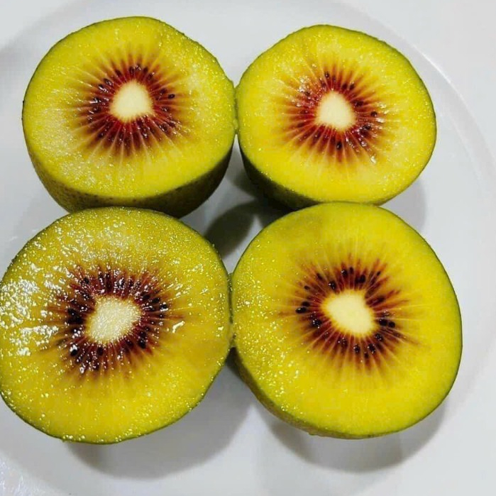 500GRAM KIWI ĐỎ TƯƠI NGON MỚI LẠ