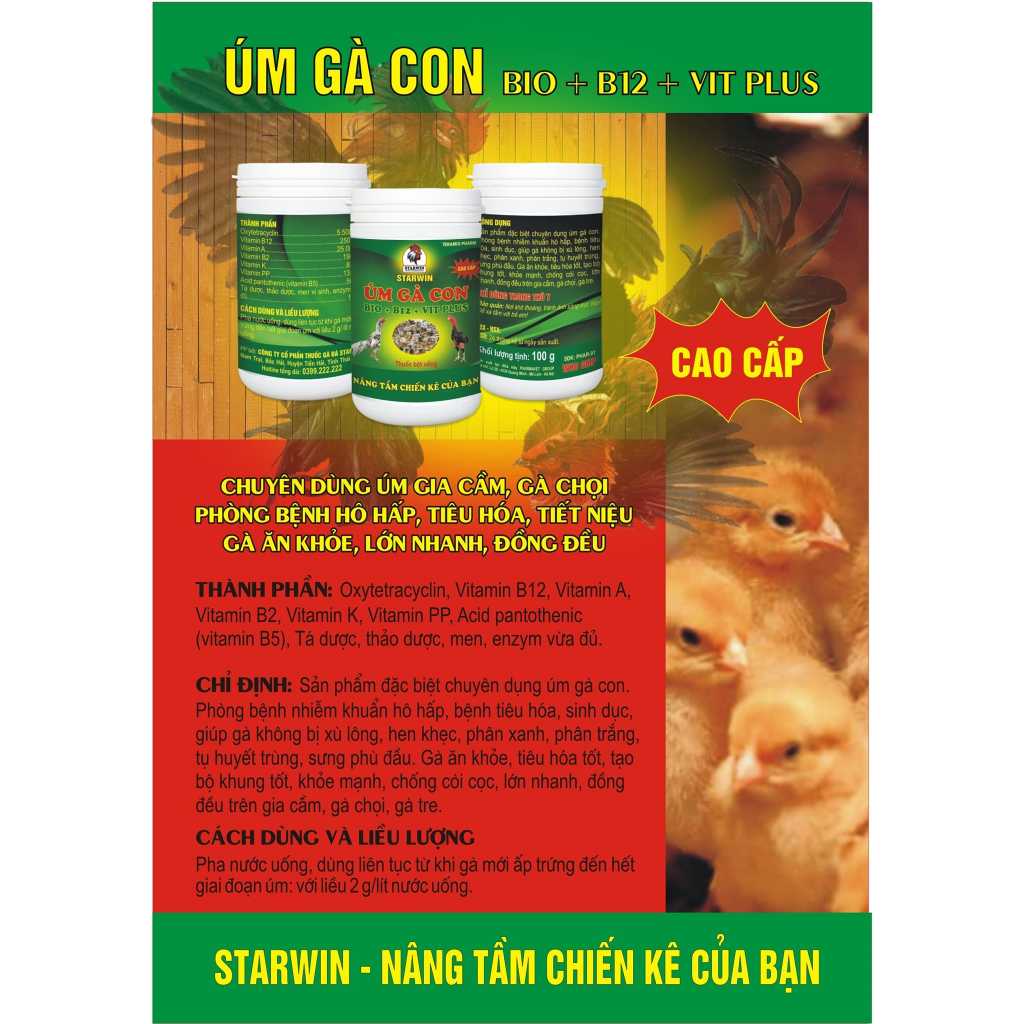 Úm Gà Con Starwin 100g