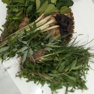Lá xông sau Sinh tươi combo lá xông bộ lá xông sau Sinh