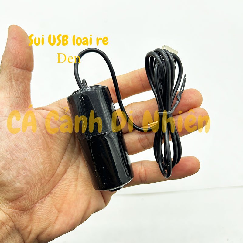 Máy sục sủi khí oxy 1 vòi kết nối USB mini có móc khóa treo khi đi câu hồ cá