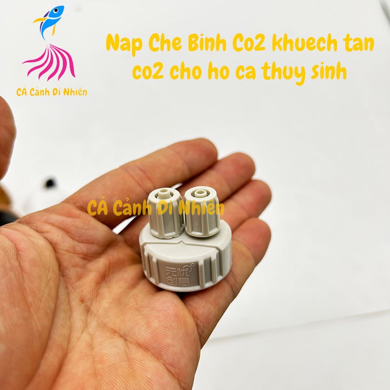Nắp chế Co2 nắp bình DIY khuếch tán co2 cho hồ bể cá thủy sinh
