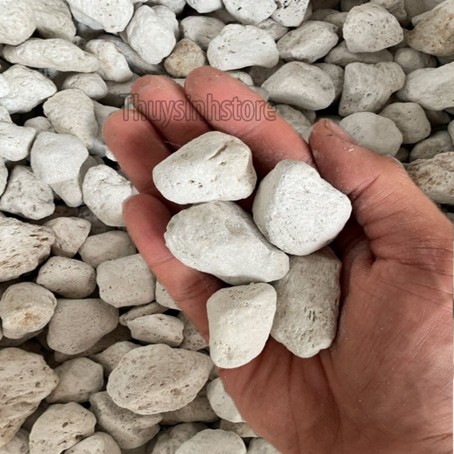 Đá lông vũ siêu lọc Nham thạch trắng dùng để lọc nước cho bể cá cảnh,hồ Koi