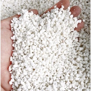 200gr đá perlite chuyên dùng cho sen đá vườn sen Đăk Lăk