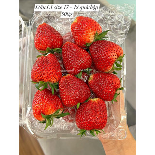 Dâu tây hana mộc châu hộp 500g - dâu tây ngon
