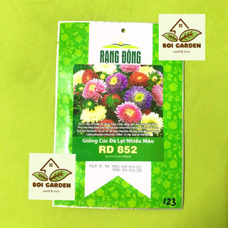 Hạt Giống CÚC ĐÀ LẠT nhiều màu (208)