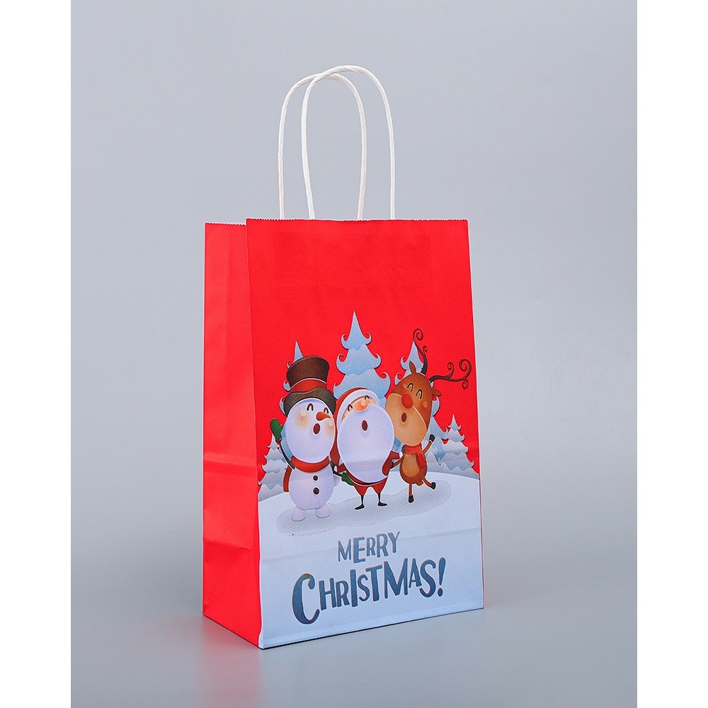 TD49A_Túi đựng quà các dịp tết, noel,