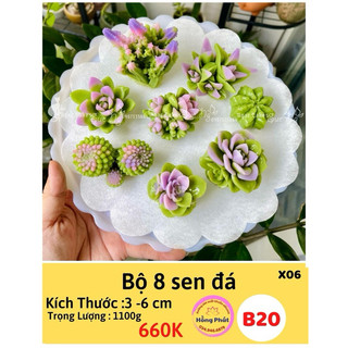 Khuôn silicon bộ 8 sen đá - B20 - Silicon hồng Phát
