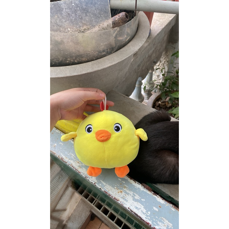 Gấu bông hình gà cute
