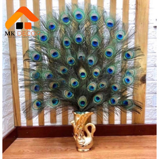 Combo Bình LÔNG CÔNG + 36 39 55 cành lông công đẹp