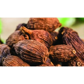 Thảo Quả Khô 100G