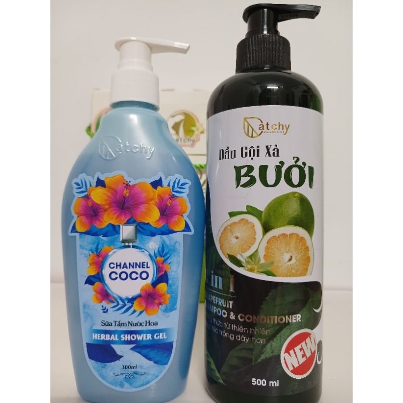 ATCHY dầu gội bưởi chai 500ml tặng kèm sữa tắm 300ml