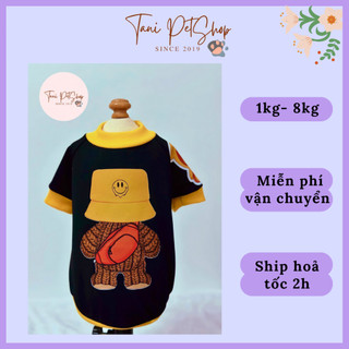 Áo thun drew bear cho chó mèo - áo cho mèo lớn - áo chó lớn giá rẻ tanipetshop
