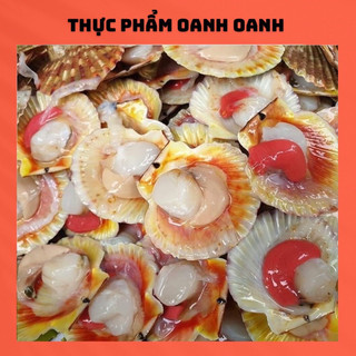 Sò Điệp Nhật baby nửa mảnh nướng mỡ hành,phô mai ngon 1ký