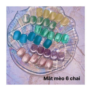 Sơn gel mắt mèo kim cương DR set 6màu chính hãng