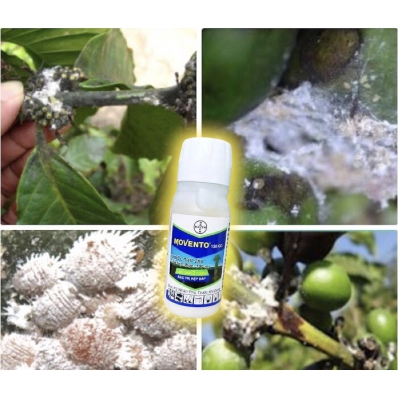 MOVENTO 150OD 100ml - Bảo vệ cây trồng. Diệt Sạch Côn Trùng
