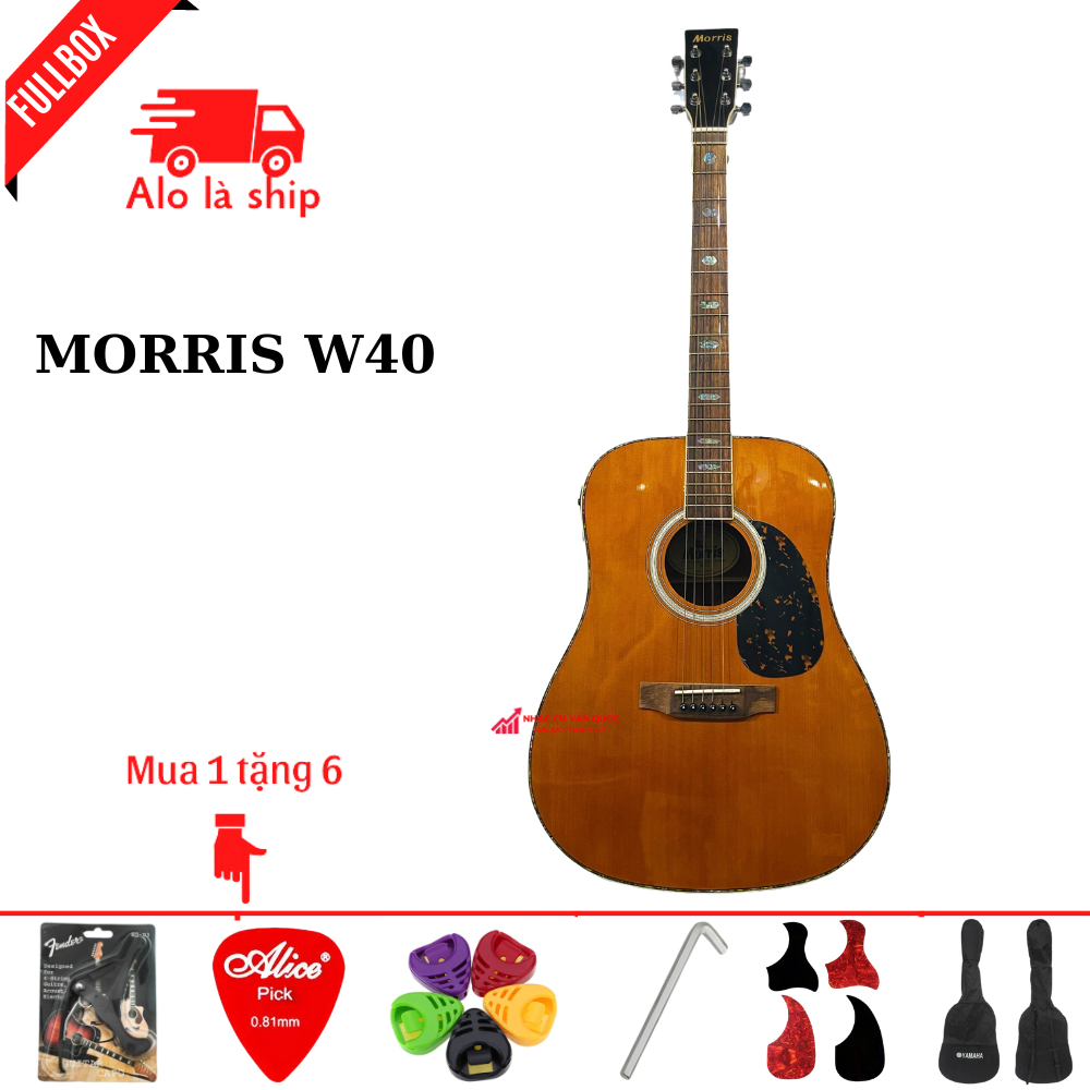 Đàn Guitar Acoustic Morris W 40 + Tặng Kèm Bộ Phụ Kiện 5 Món