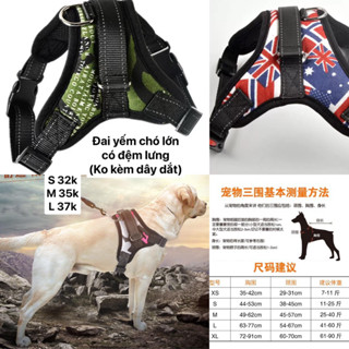 đai yếm dắt chó đi dạo có đệm lưng cao cấp chắc bền cho chó lớn