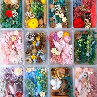 Hộp hoa khô, quả thông, lá thơm mix nhiều loại decor phòng, phụ kiện chụp ảnh, trang trí noel, lễ tết, làm đồ handmade