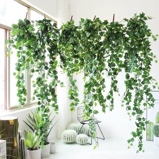 Dây leo giả, lá nho, lá phong, lá trầu bà, vạn niên thanh, lá rau má trang trí nhà cửa, quán cà phê, decor cửa hàng