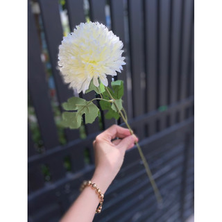 Cúc pingpong vải dạng cành