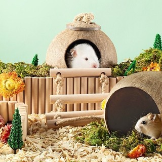 Nhà ngủ gáo dừa cho hamster - sóc - chim