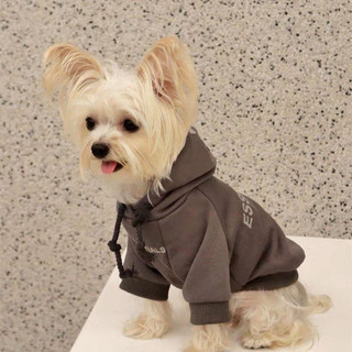 Áo hoodie hiệu essential cho cún
