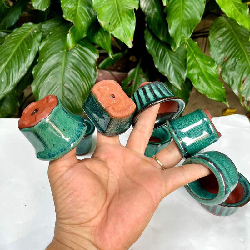 xả hàng 5 chậu siêu mini trồng sen đá, bonsai, xương rồng
