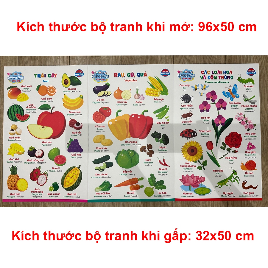 Bộ tranh gấp thông thái cho bé cỡ lớn - 3 tấm, 6 mặt, 17 chủ đề song ngữ Anh Việt (96 x 50cm)