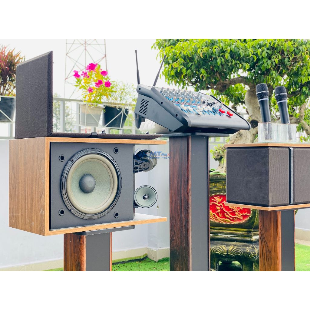 Dàn Karaoke Cao Cấp Gia Đình -  Đi Kèm 2 Micro Không Dây Đa Năng