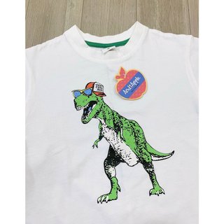 BỘ CỘC KHỦNG LONG BÉ TRAI