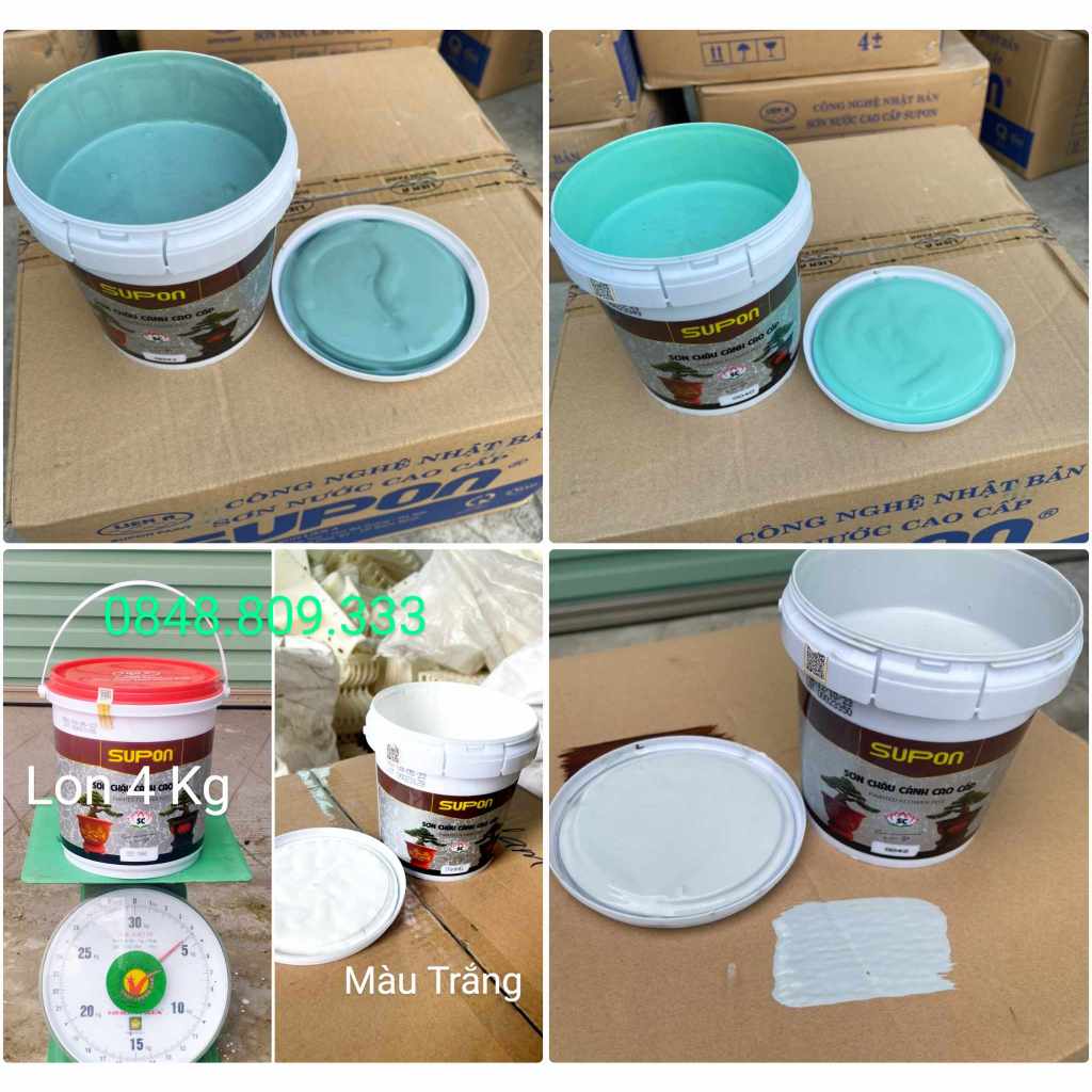 Nhiều Màu  Sơn Chậu Cảnh Cao Cấp Chuyên Dụng ,Hệ Nước ,Đậm Đặc ,Kháng Kiềm