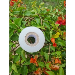 Cuộn băng ghép cây tự hủy 3cm