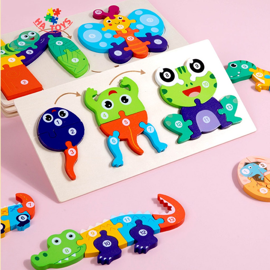 Đồ chơi mảng ghép sơ đồ quá trình sinh trưởng của loài vật HT1028