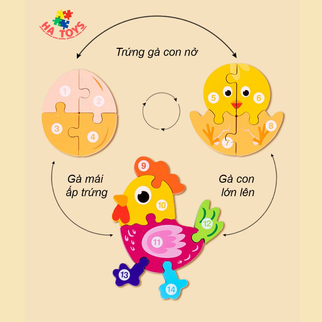 Đồ chơi mảng ghép sơ đồ quá trình sinh trưởng của loài vật HT1028