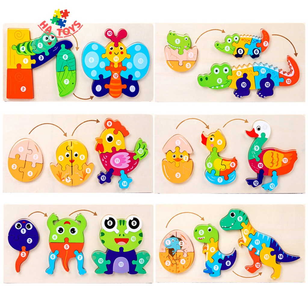 Đồ chơi mảng ghép sơ đồ quá trình sinh trưởng của loài vật HT1028