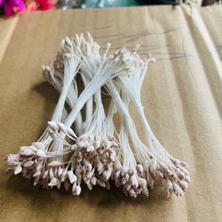 Bó nhuỵ hoa , nhị hoa giả làm hoa