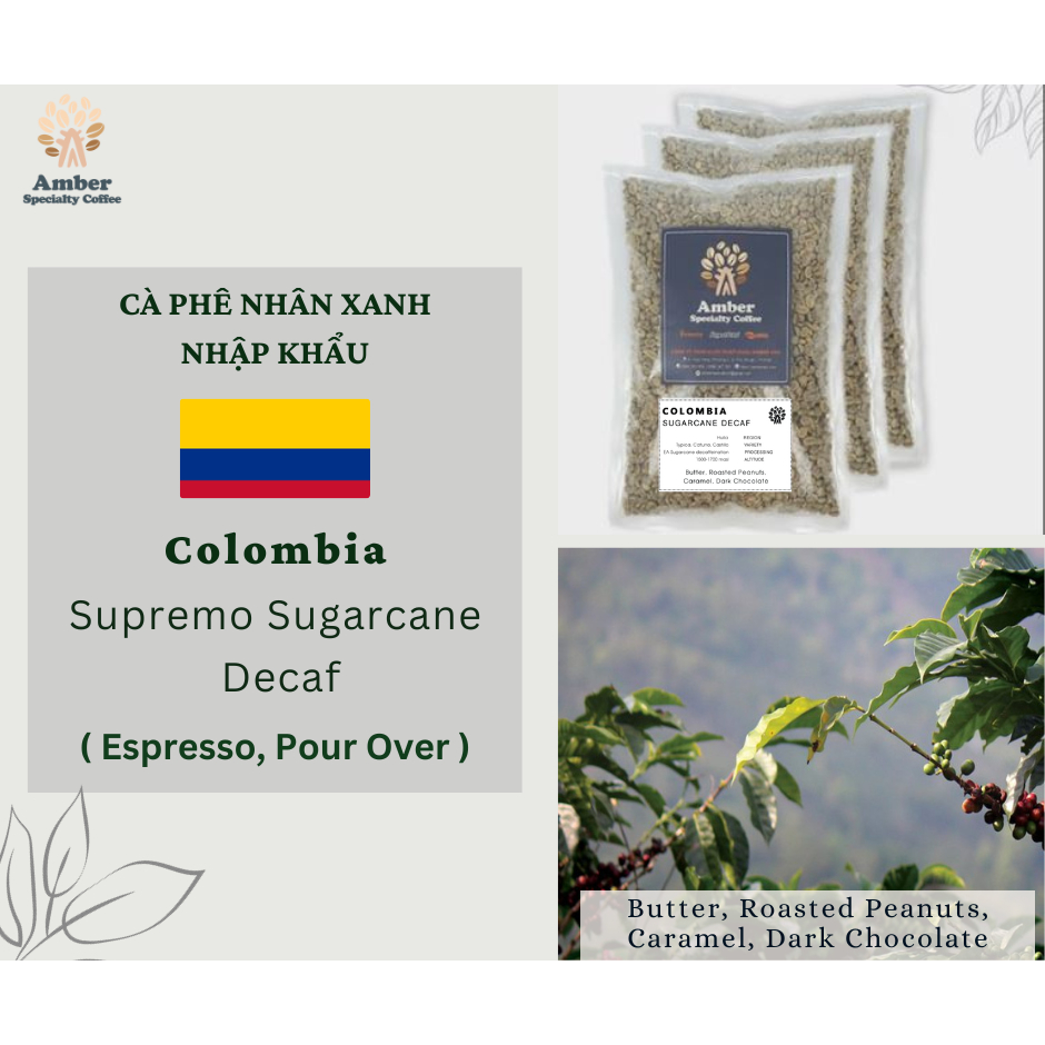 Cà phê nhân xanh Colombia Tumbaga Sugarcane Decaf - 1KG | Amber Specialty Coffee