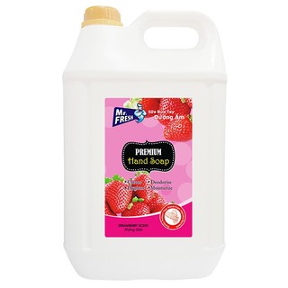 Nước rửa tay thảo mộc dưỡng ẩm Mr.Fresh 10L cao cấp