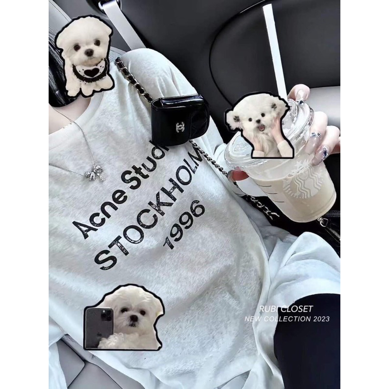 Áo thun giấy dài tay STOCK dáng suông COA669