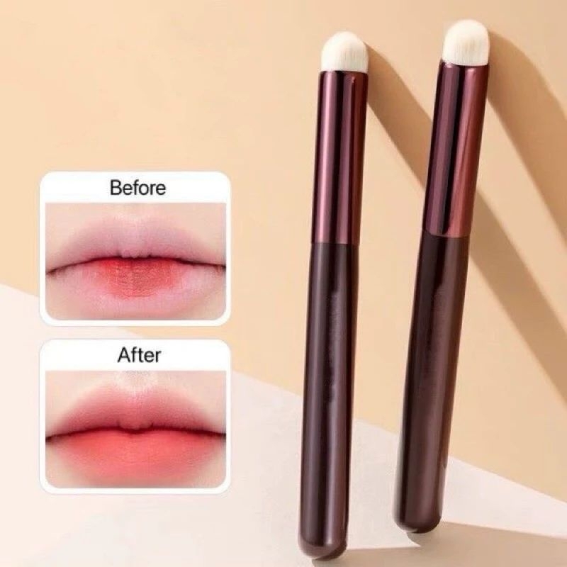 Cọ tán son môi NĐT